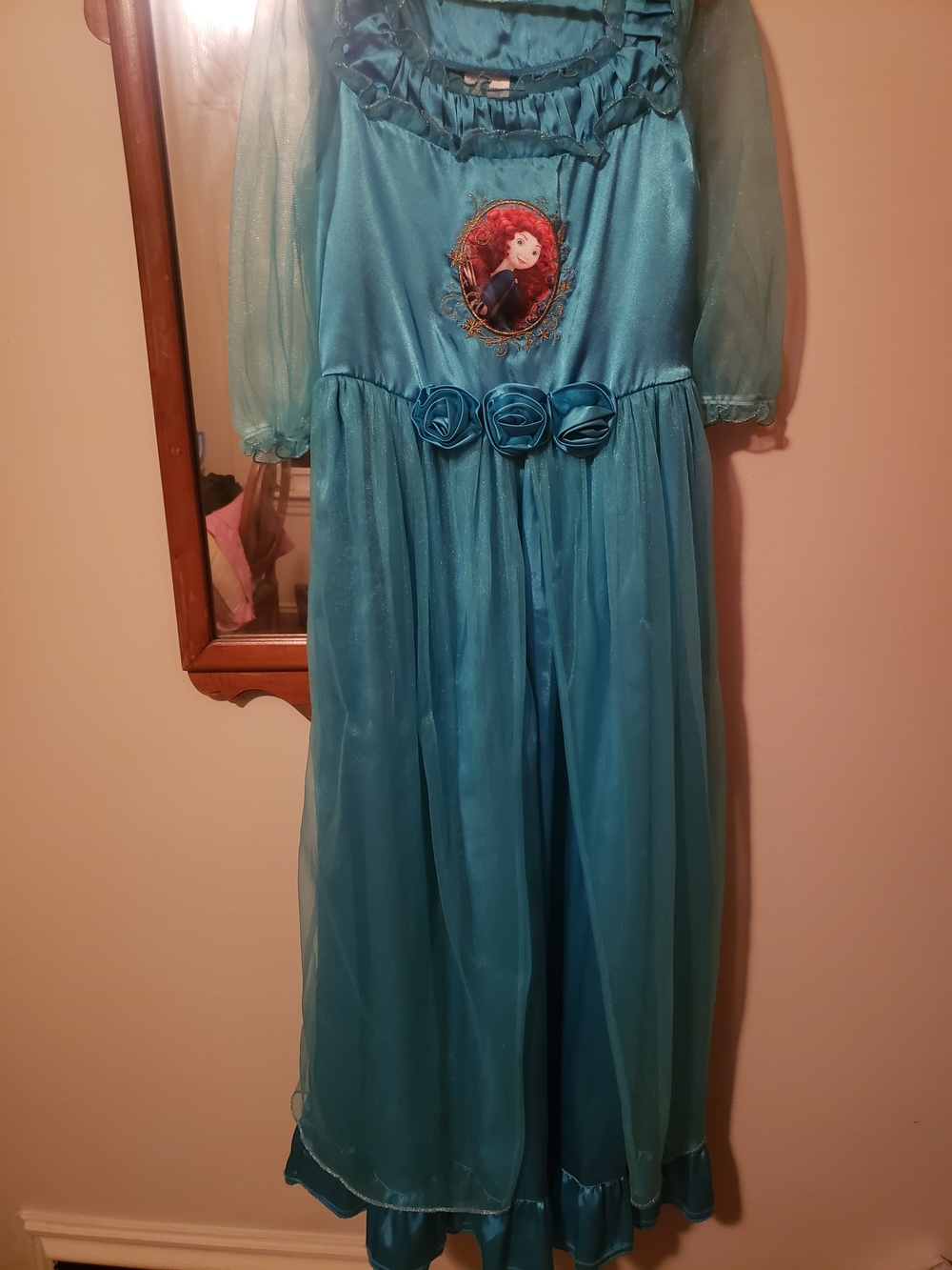 Disney Princess Merida Costume with Rosette Waist